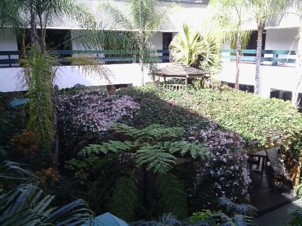 LARGE OPEN OFFICE, SEVERAL USES. FLAT RATE, EASY LEASE